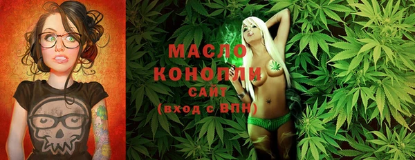 молекула духа Горнозаводск