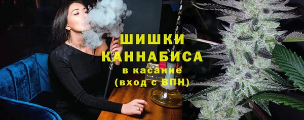 молекула духа Горнозаводск