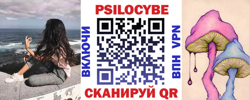 как найти закладки  Горно-Алтайск  Псилоцибиновые грибы прущие грибы 