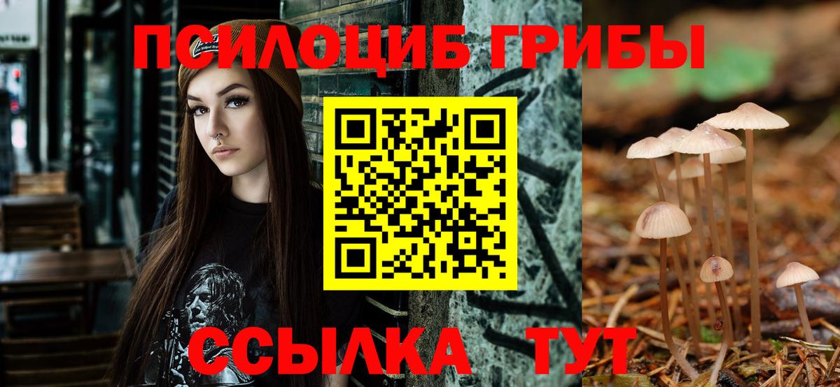Псилоцибиновые грибы ЛСД  Галлюциногенные грибы мухоморы  Горно-Алтайск  Вход с VPN 
