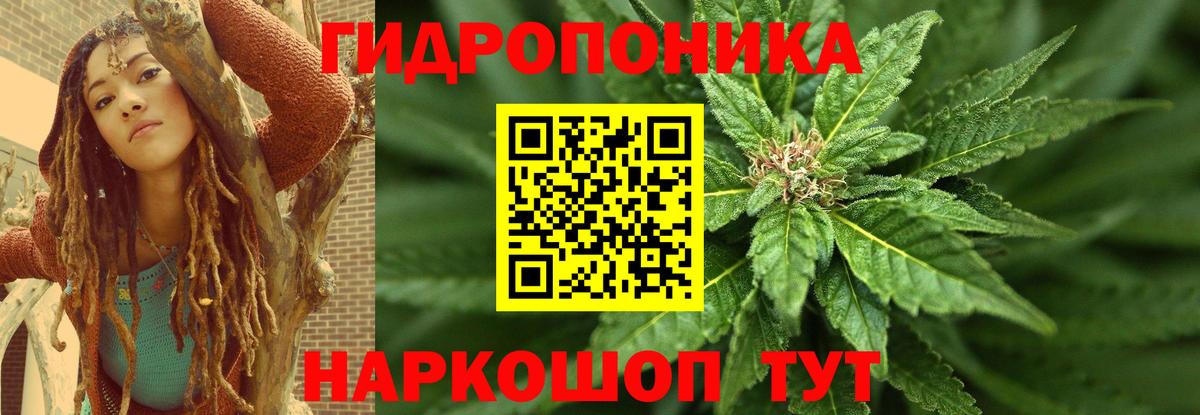 Марихуана сатива Горно-Алтайск